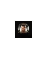Perfume Extract | CRYSTAL WOOD - ELIXIR Collection by EL NABIL Perfume Extract | CRYSTAL WOOD - ELIXIR Collection by EL NABIL