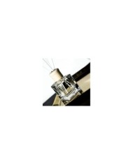 Home Fragrance | MOON LIGHT - Capilla Perfume Home Fragrance | MOON LIGHT - Capilla Perfume